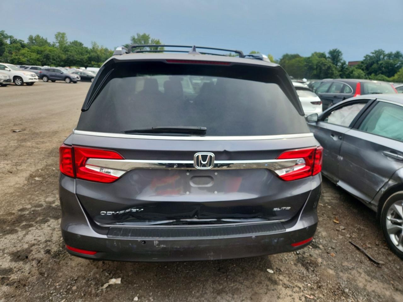 2019 Honda Odyssey Elite Gray vin: 5FNRL6H93KB024933