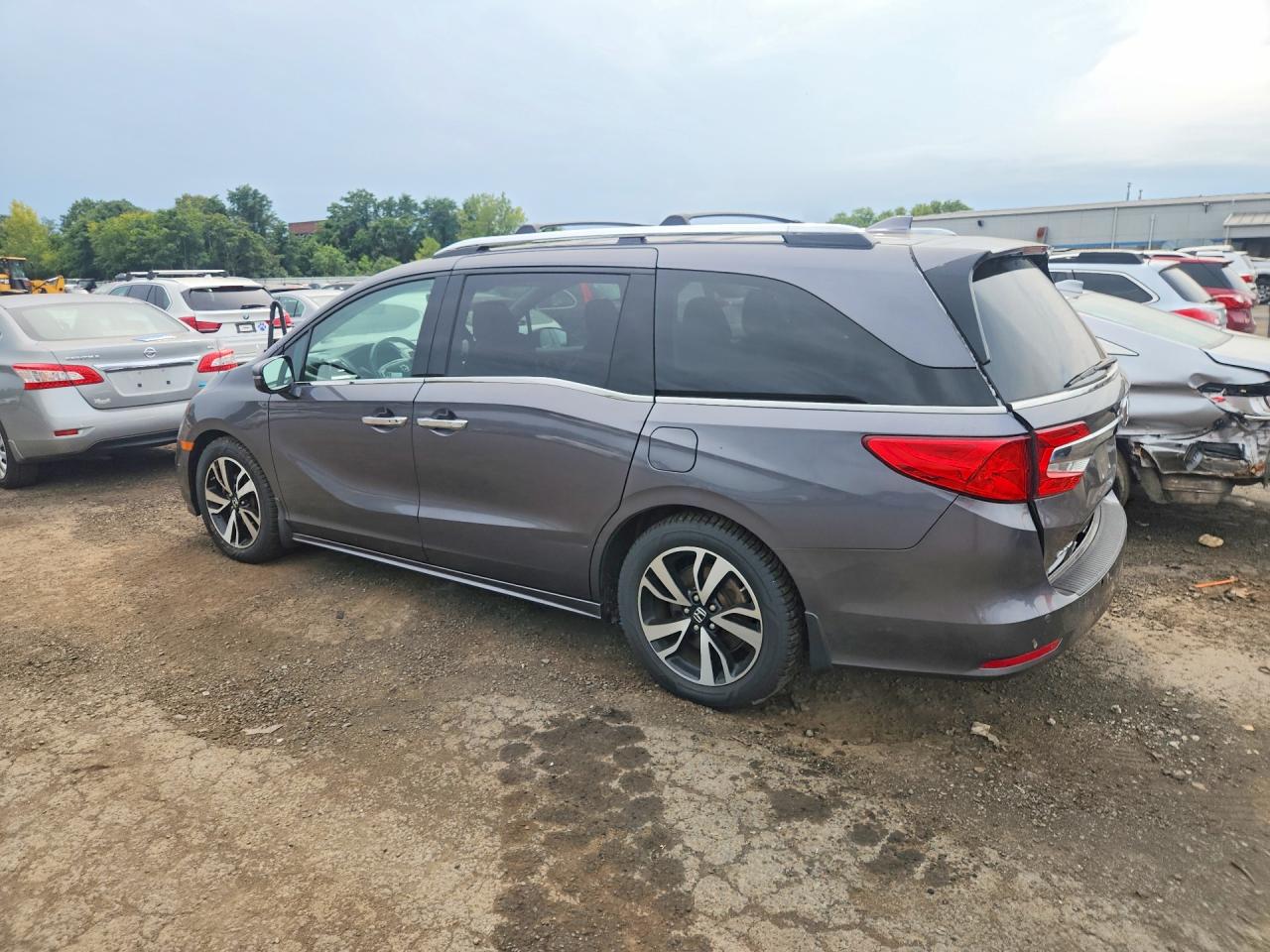 2019 Honda Odyssey Elite Gray vin: 5FNRL6H93KB024933