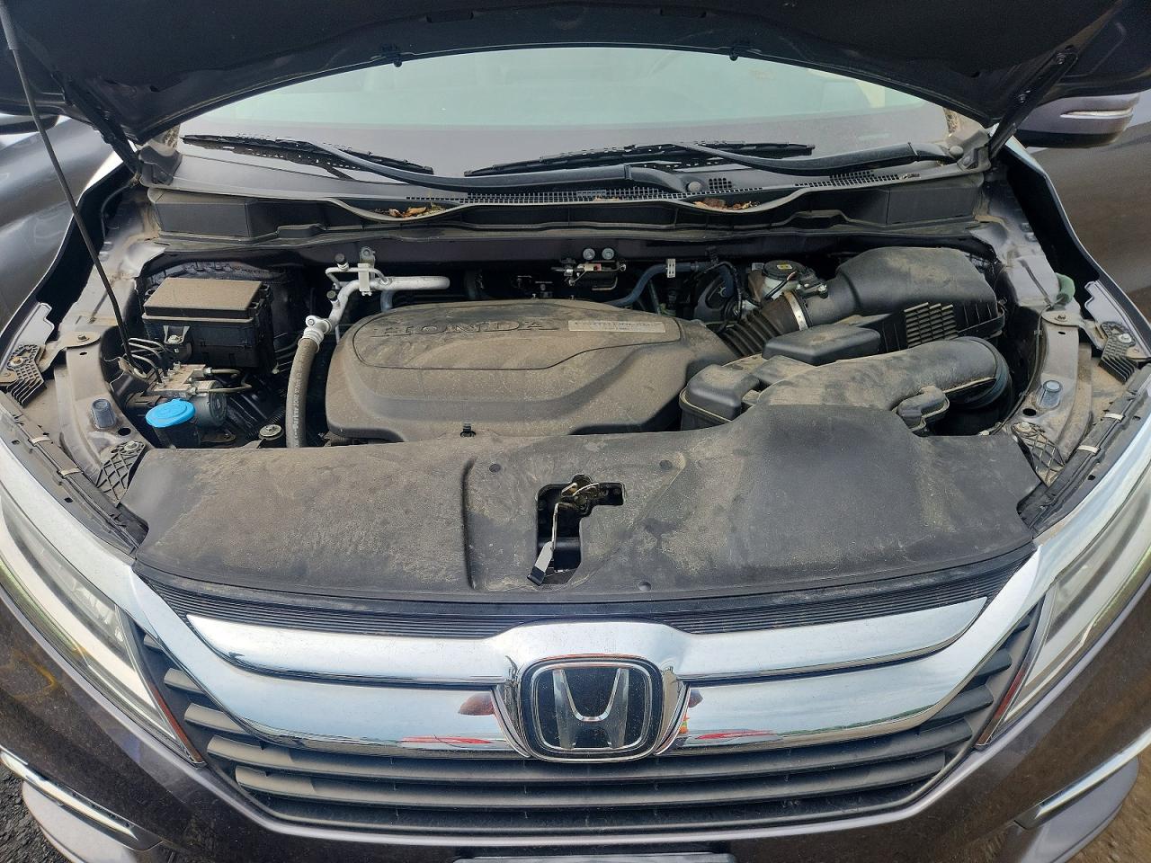 2019 Honda Odyssey Elite Gray vin: 5FNRL6H93KB024933
