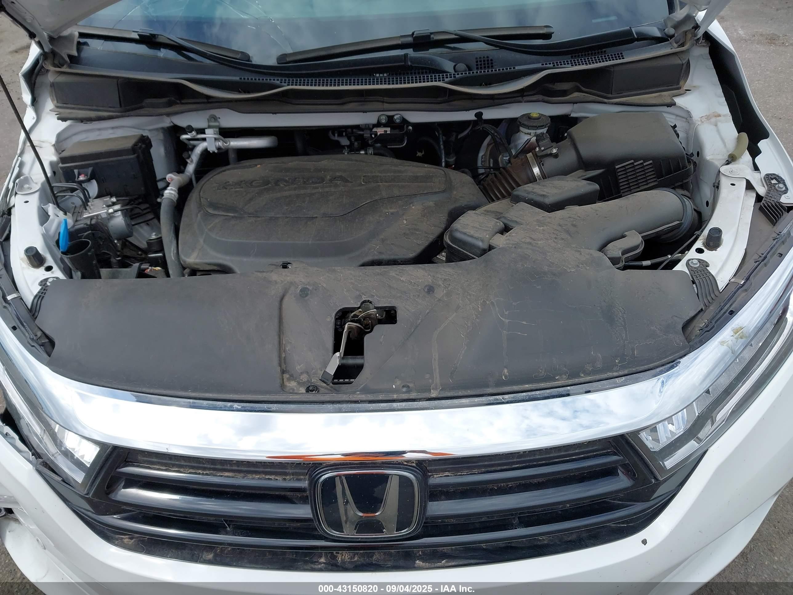 2024 Honda Odyssey Elite White vin: 5FNRL6H96RB042546