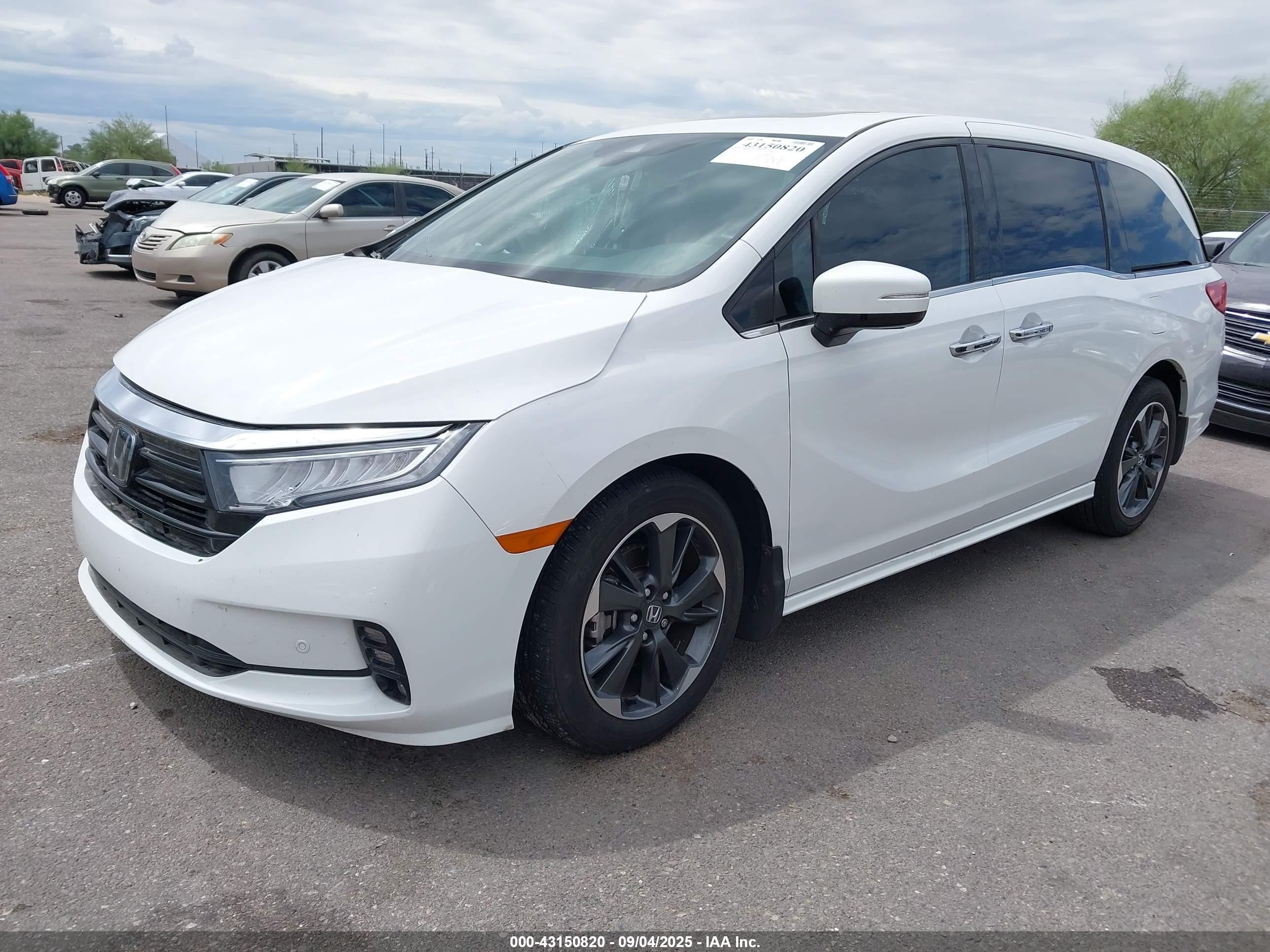 2024 Honda Odyssey Elite White vin: 5FNRL6H96RB042546