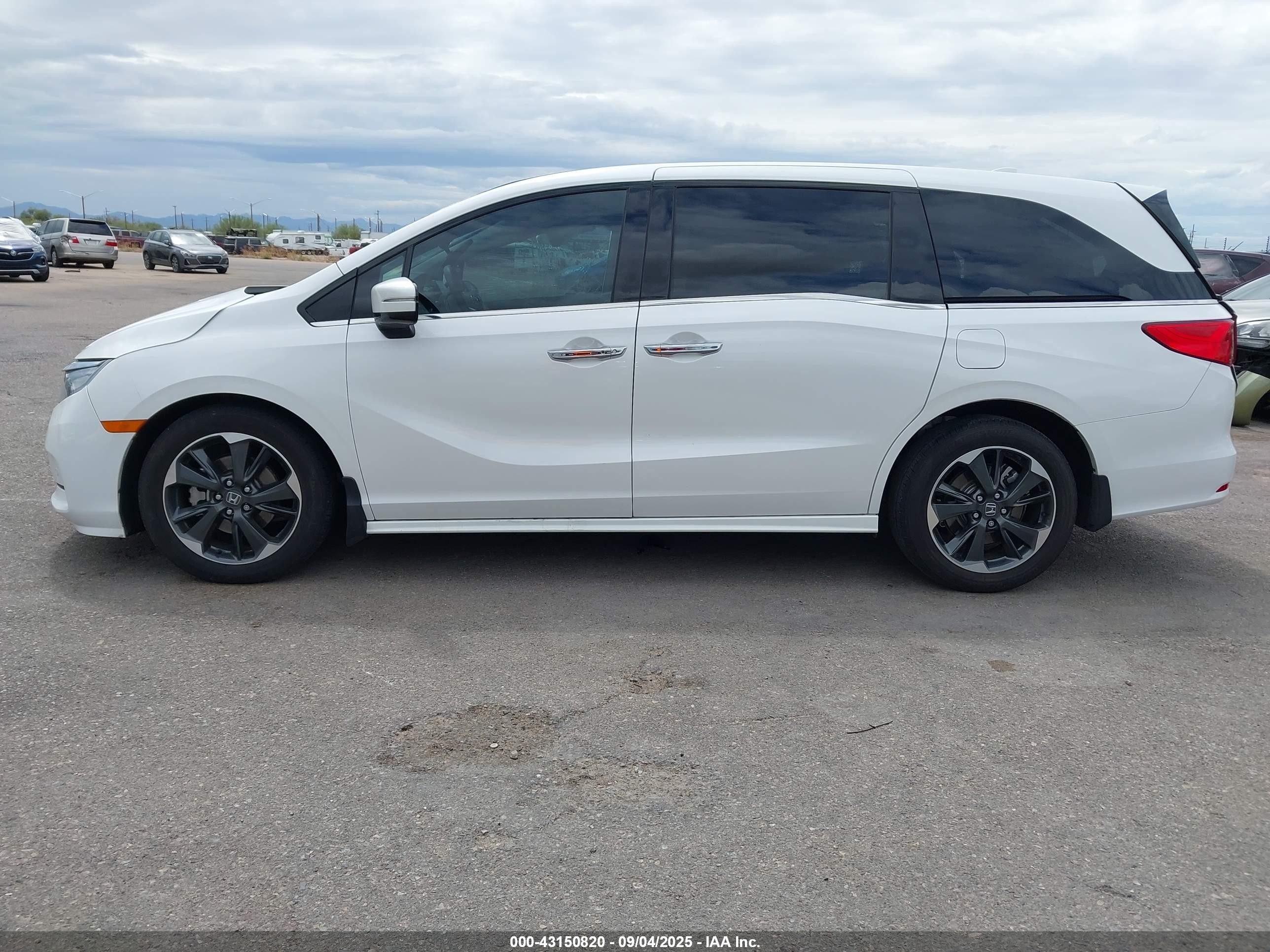 2024 Honda Odyssey Elite White vin: 5FNRL6H96RB042546