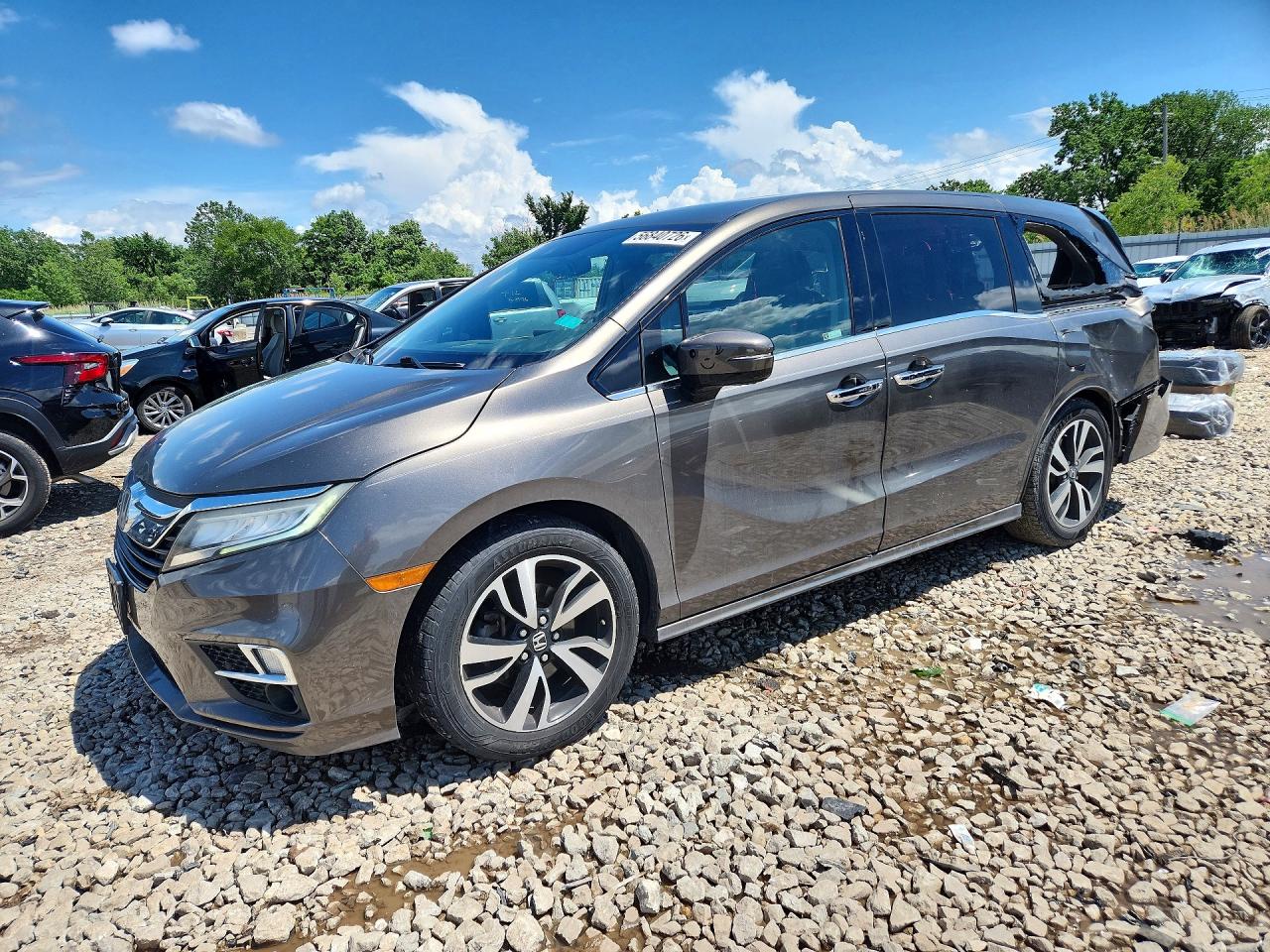2019 Honda Odyssey Elite Gray vin: 5FNRL6H97KB029486