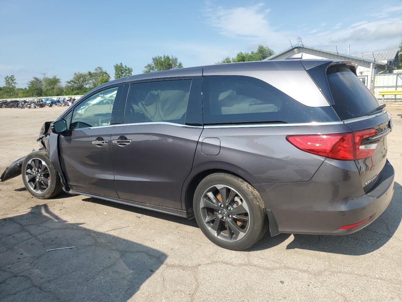 2024 Honda Odyssey Elite Gray vin: 5FNRL6H97RB004761