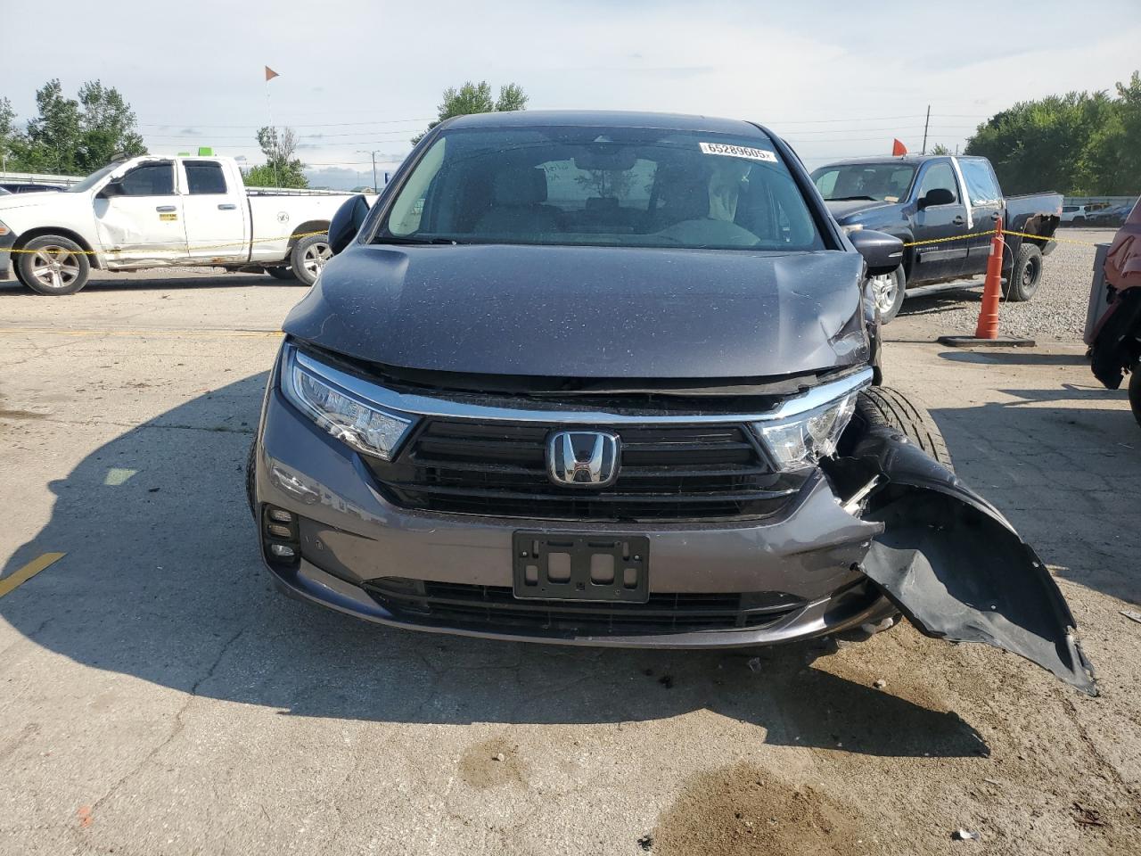 2024 Honda Odyssey Elite Gray vin: 5FNRL6H97RB004761