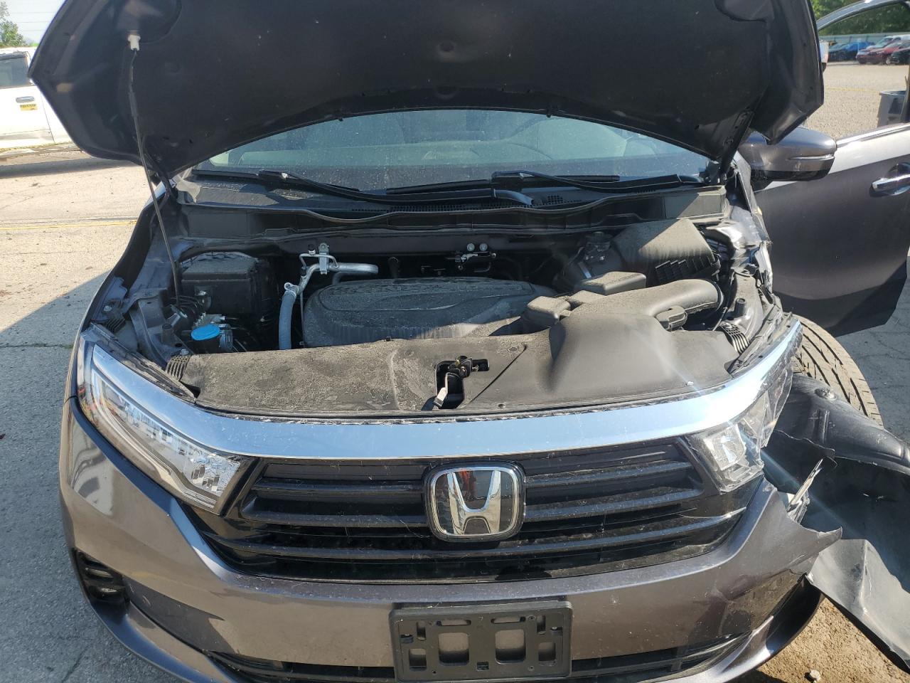2024 Honda Odyssey Elite Gray vin: 5FNRL6H97RB004761