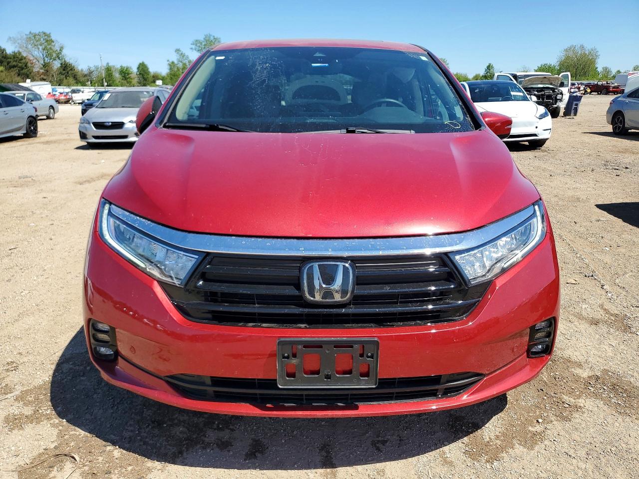 2024 Honda Odyssey Elite Red vin: 5FNRL6H9XRB003779