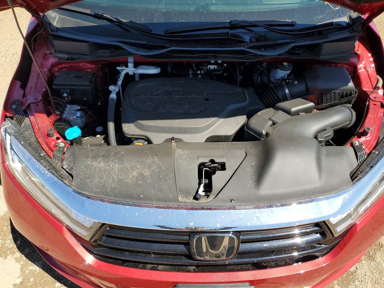 2024 Honda Odyssey Elite Red vin: 5FNRL6H9XRB003779