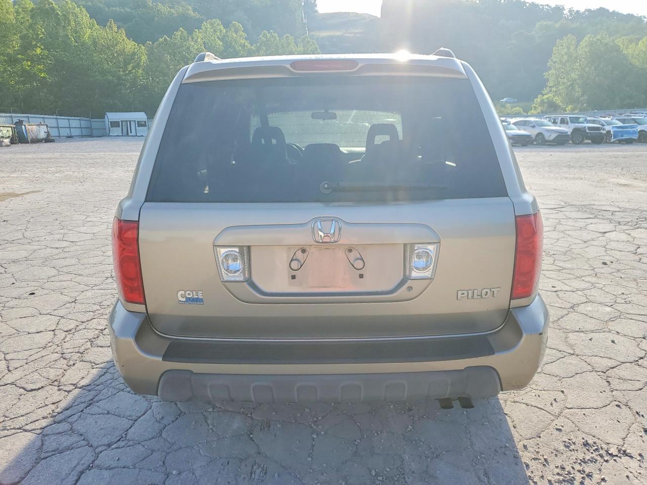 2005 Honda Pilot Ex Gold vin: 5FNYF18465B027047