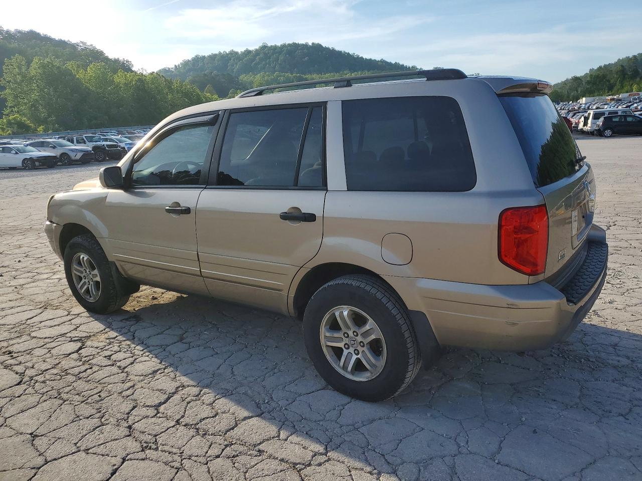 2005 Honda Pilot Ex Gold vin: 5FNYF18465B027047