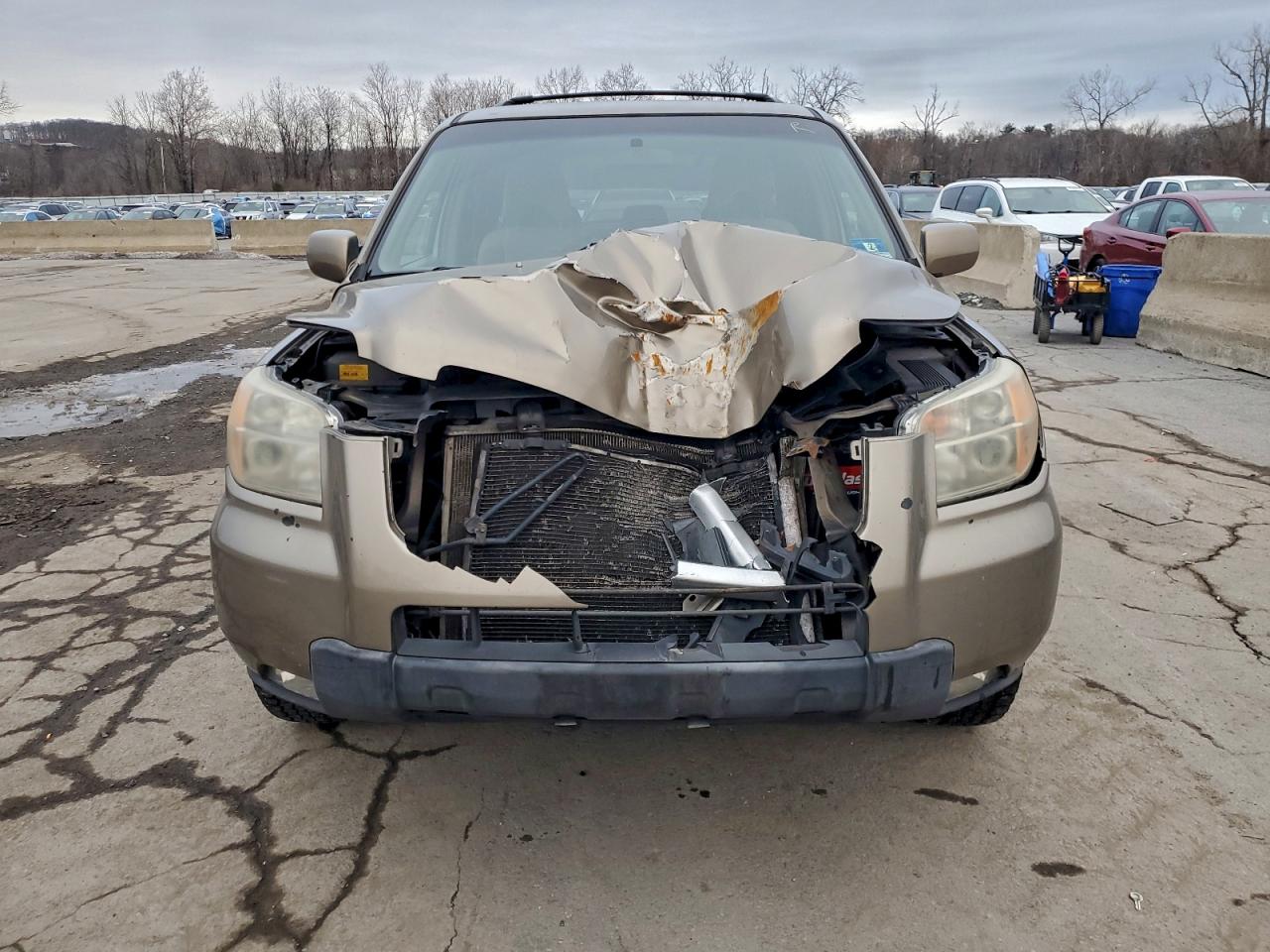 2008 Honda Pilot Ex Желто-коричневый vin: 5FNYF18498B010750