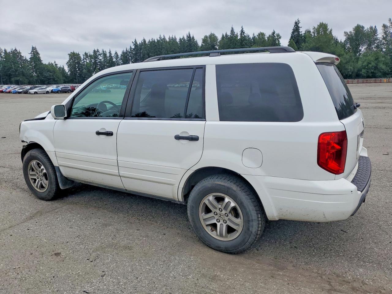 2005 Honda Pilot Exl White vin: 5FNYF18555B034547