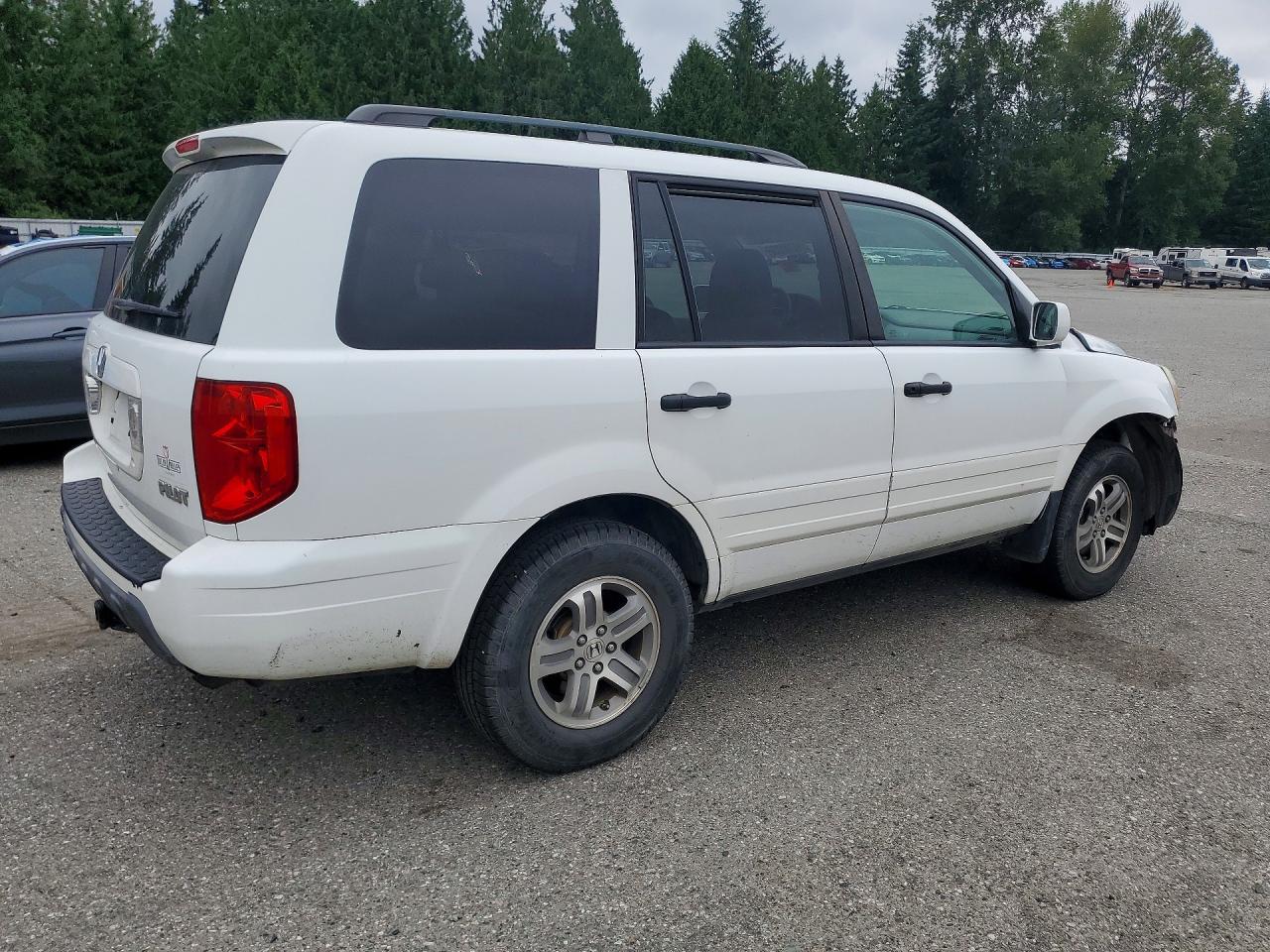 2005 Honda Pilot Exl White vin: 5FNYF18555B034547