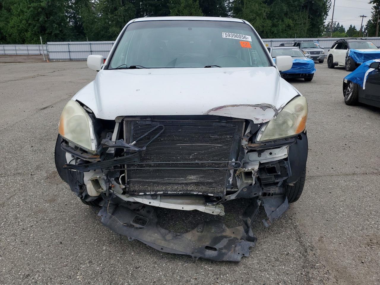 2005 Honda Pilot Exl White vin: 5FNYF18555B034547