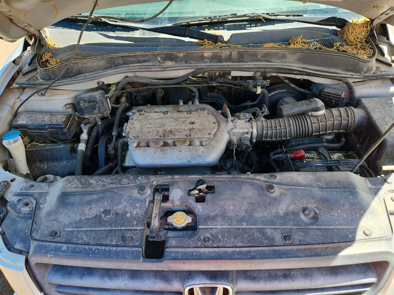 2005 Honda Pilot Exl Silver vin: 5FNYF18555B051431