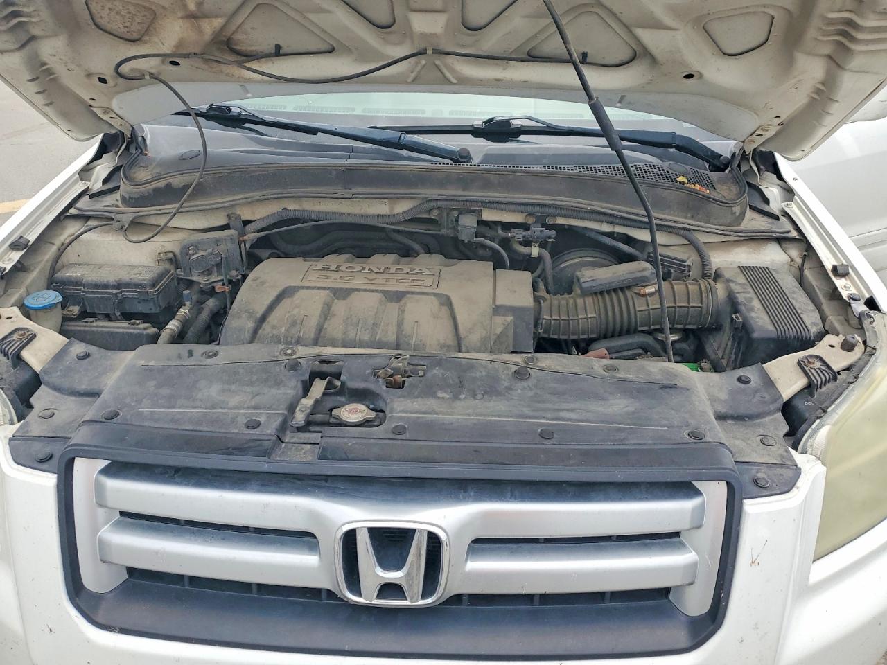2006 Honda Pilot Ex Белый vin: 5FNYF18556B025882