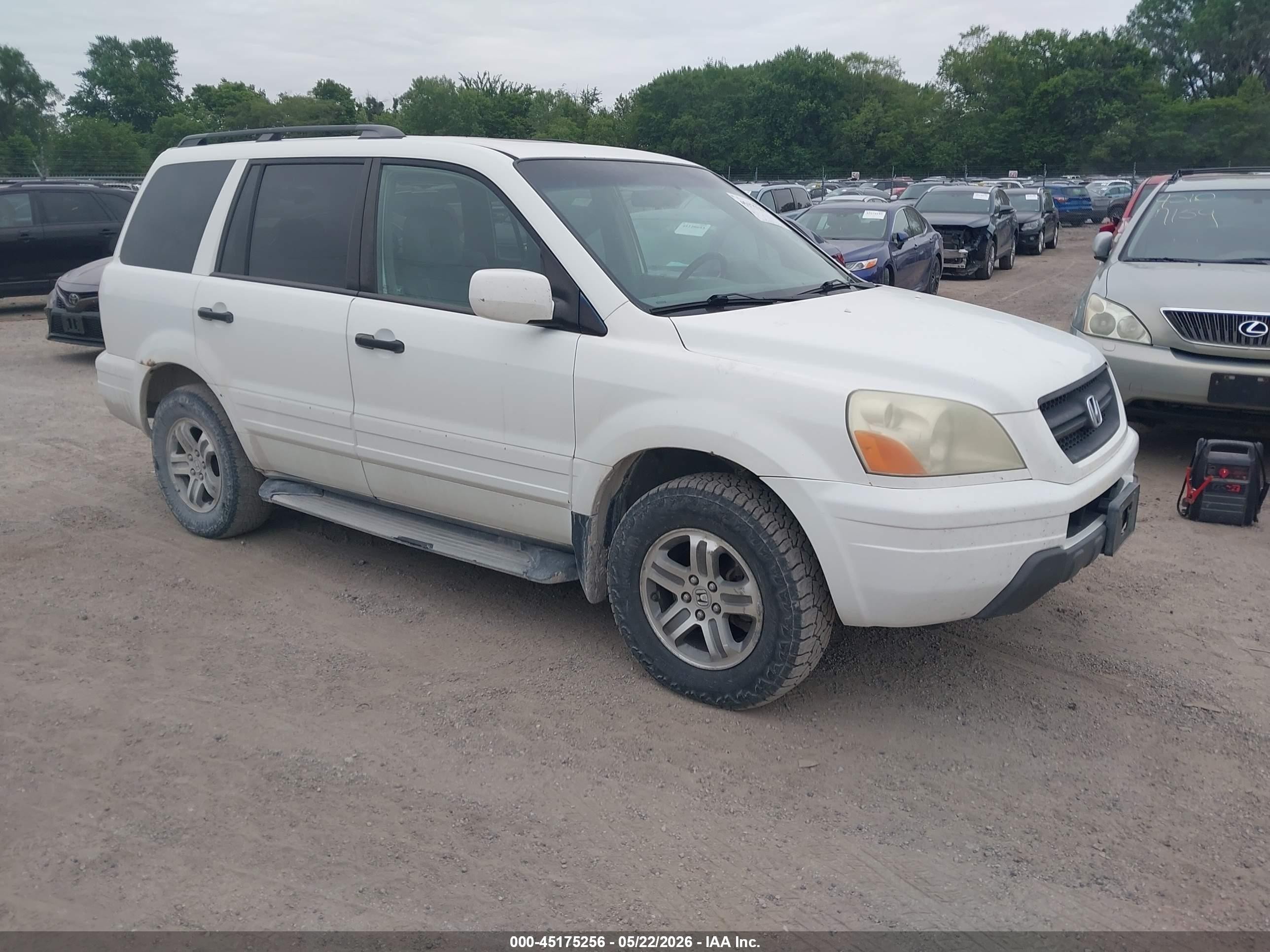 2005 Honda Pilot Ex-l Белый vin: 5FNYF18565B007874