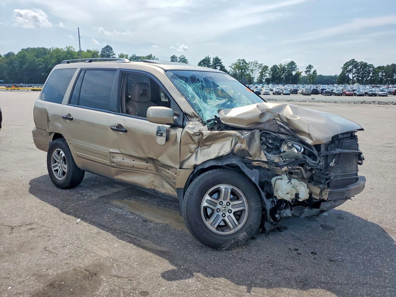 2005 Honda Pilot Exl Золотой vin: 5FNYF18585B017287