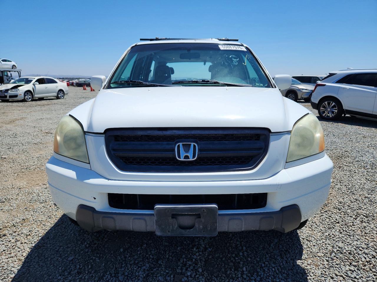 2005 Honda Pilot Exl White vin: 5FNYF18585B039385