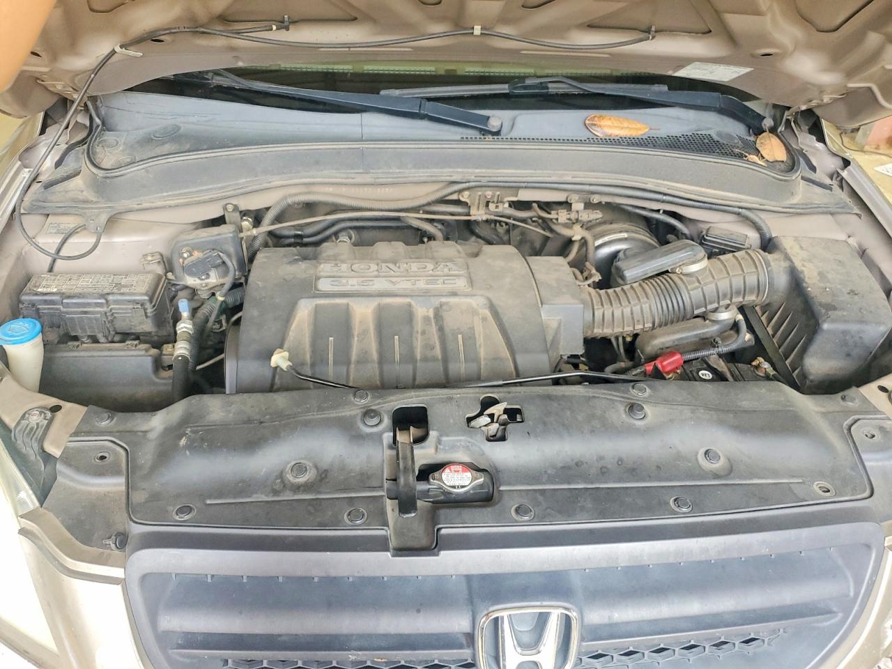 2005 Honda Pilot Exl Золотой vin: 5FNYF18585B063590