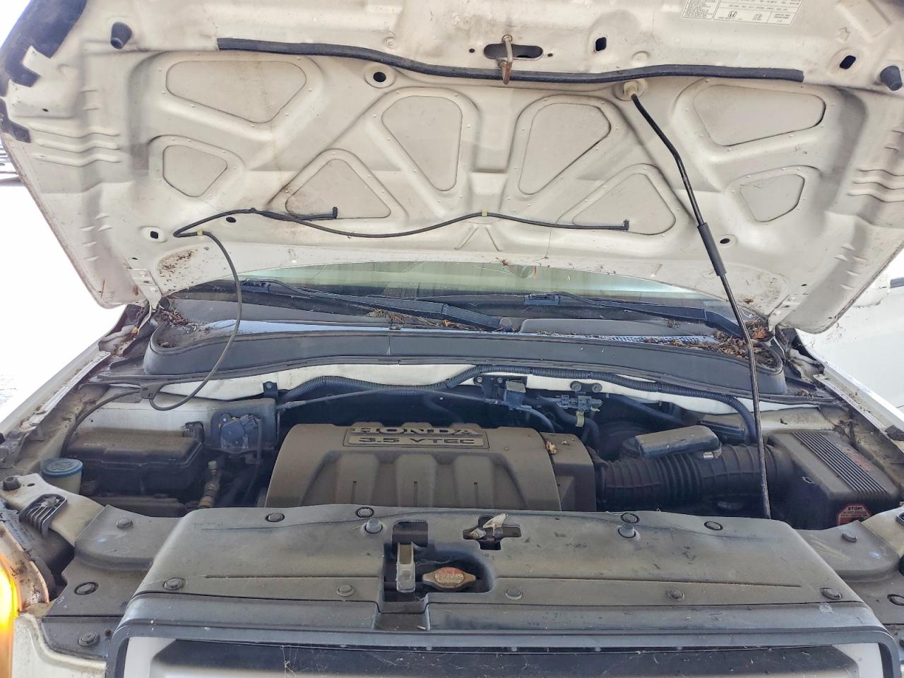 2008 Honda Pilot Exl White vin: 5FNYF18588B048902