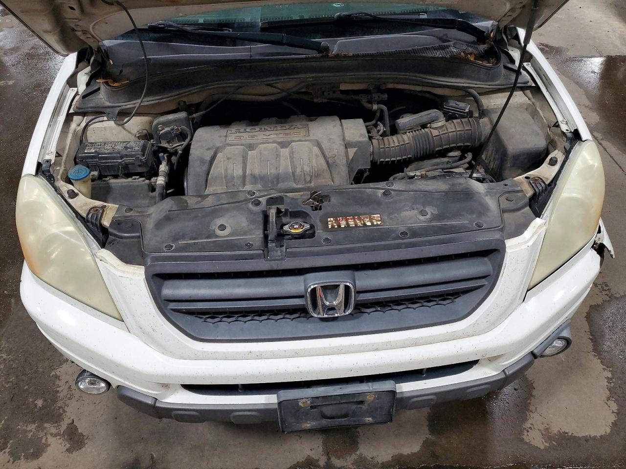 2005 Honda Pilot Exl White vin: 5FNYF18595B042747