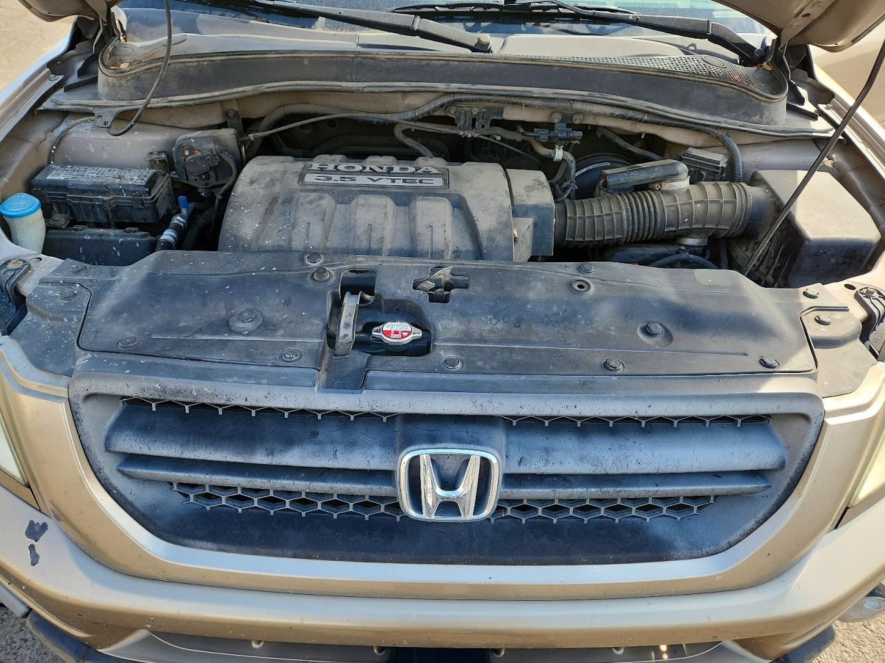 2005 Honda Pilot Exl Бежевый vin: 5FNYF18605B014070