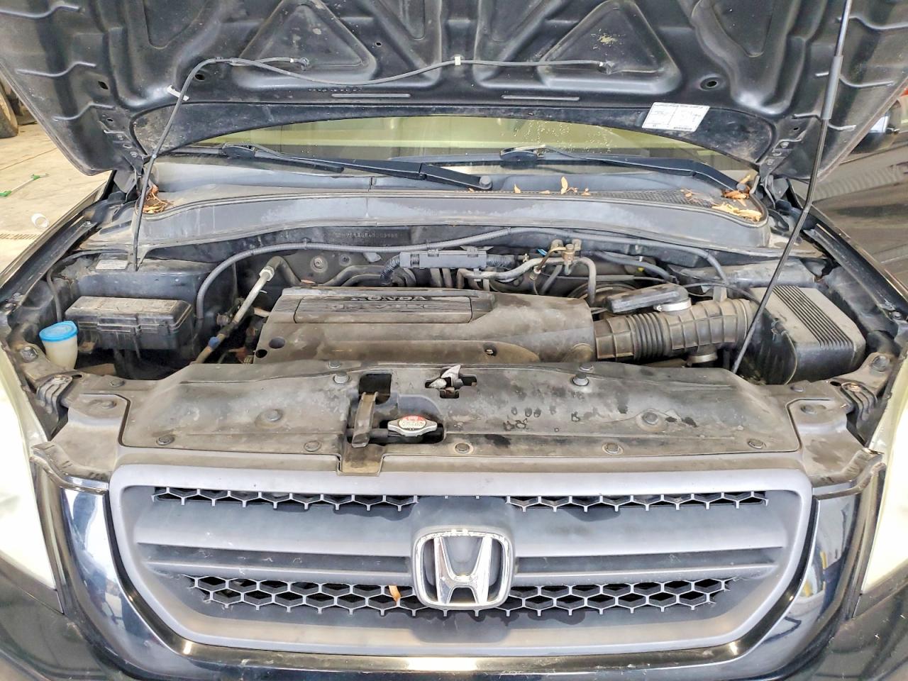 2004 Honda Pilot Exl Black vin: 5FNYF18684B003686