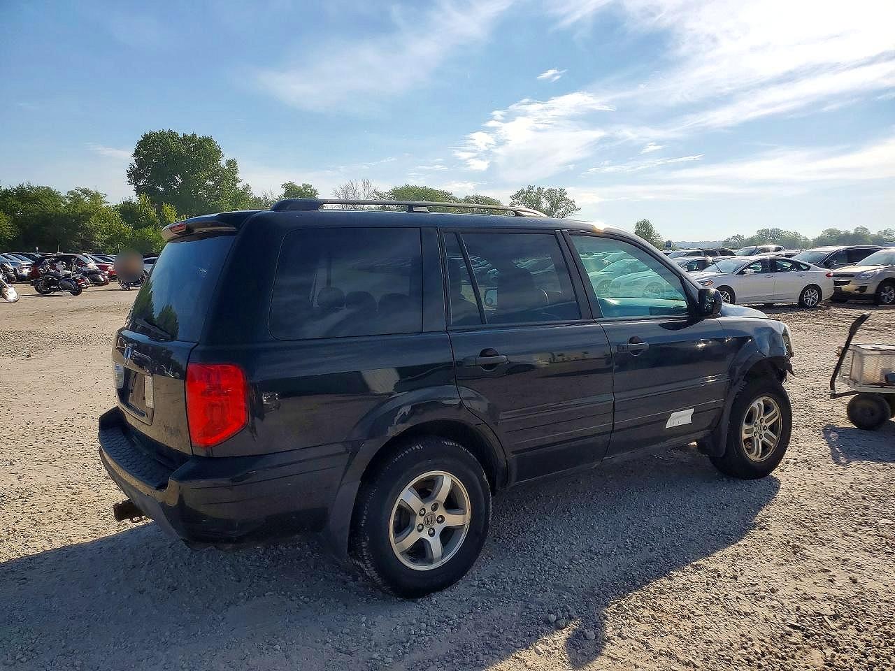 2005 Honda Pilot Exl Black vin: 5FNYF18685B058611