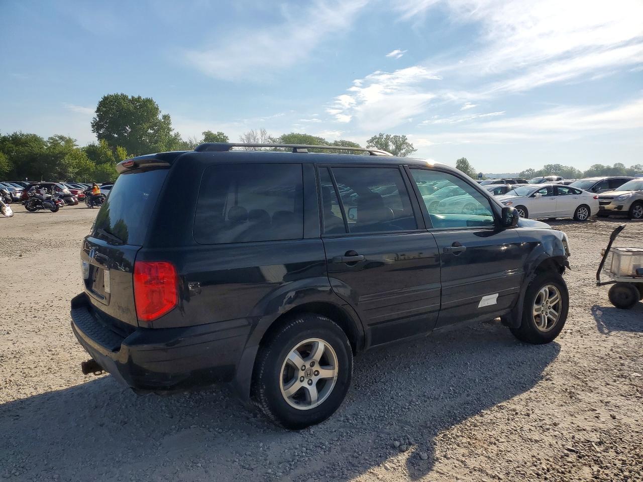 2005 Honda Pilot Exl Black vin: 5FNYF18685B058611