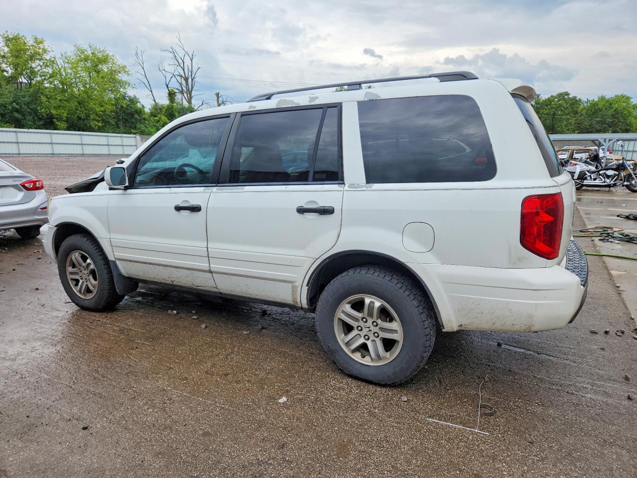 2005 Honda Pilot Exl White vin: 5FNYF18695B047388