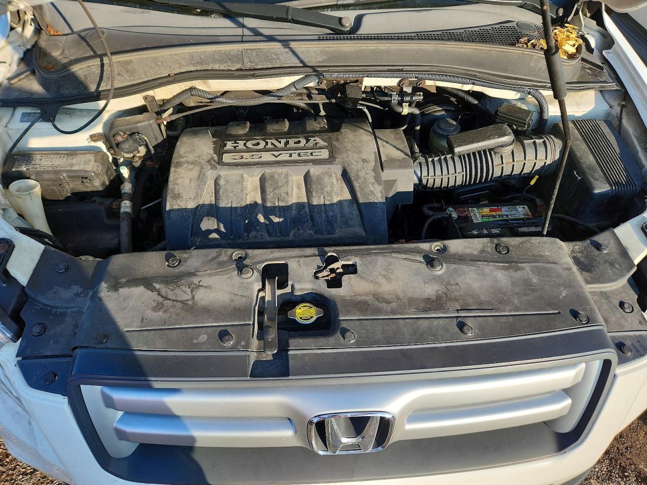 2008 Honda Pilot Exl White vin: 5FNYF18778B015603