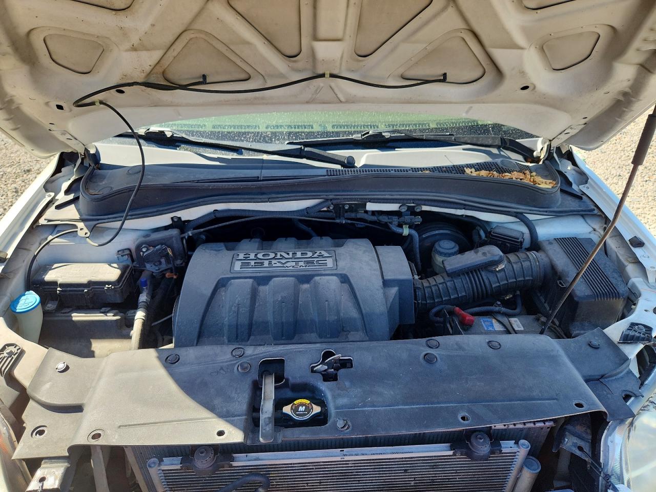 2008 Honda Pilot Exl White vin: 5FNYF28508B007654