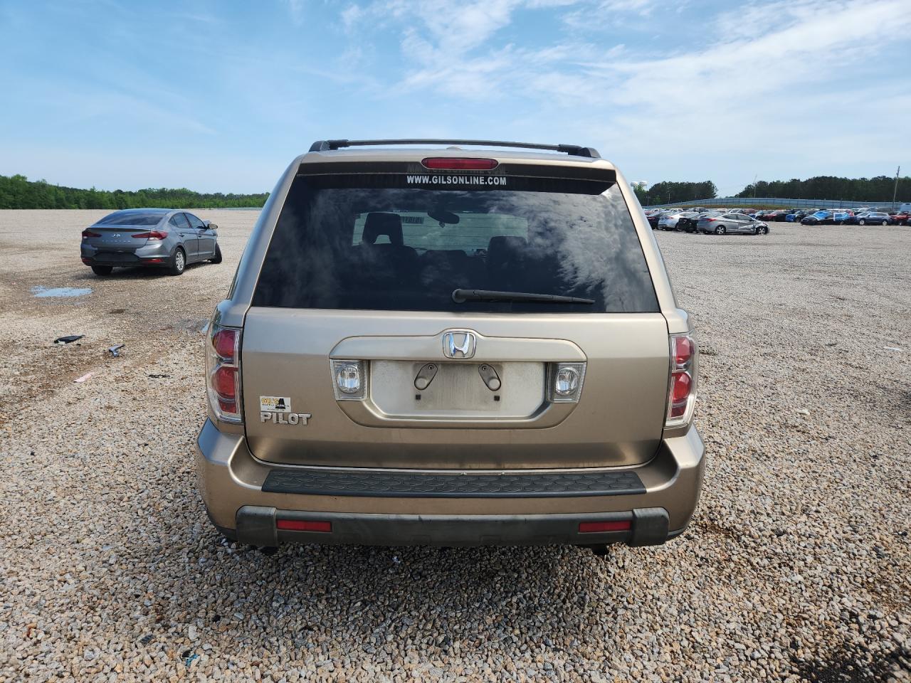 2006 Honda Pilot Ex Tan vin: 5FNYF28516B046041