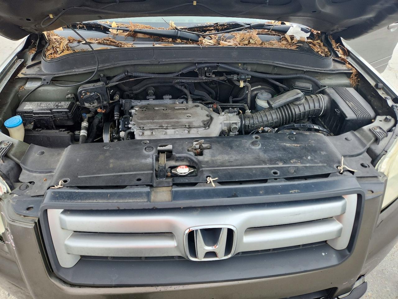 2006 Honda Pilot Ex Green vin: 5FNYF286X6B037976