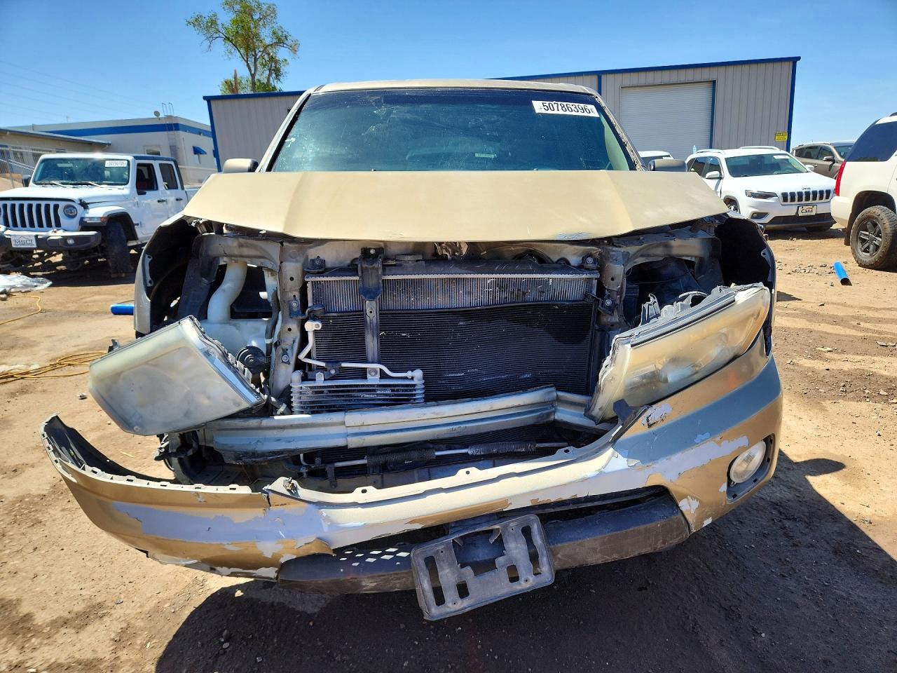 2009 Honda Pilot Ex Gold vin: 5FNYF38489B019436