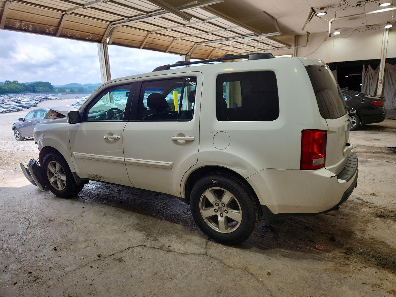 2009 Honda Pilot Exl White vin: 5FNYF38659B003339