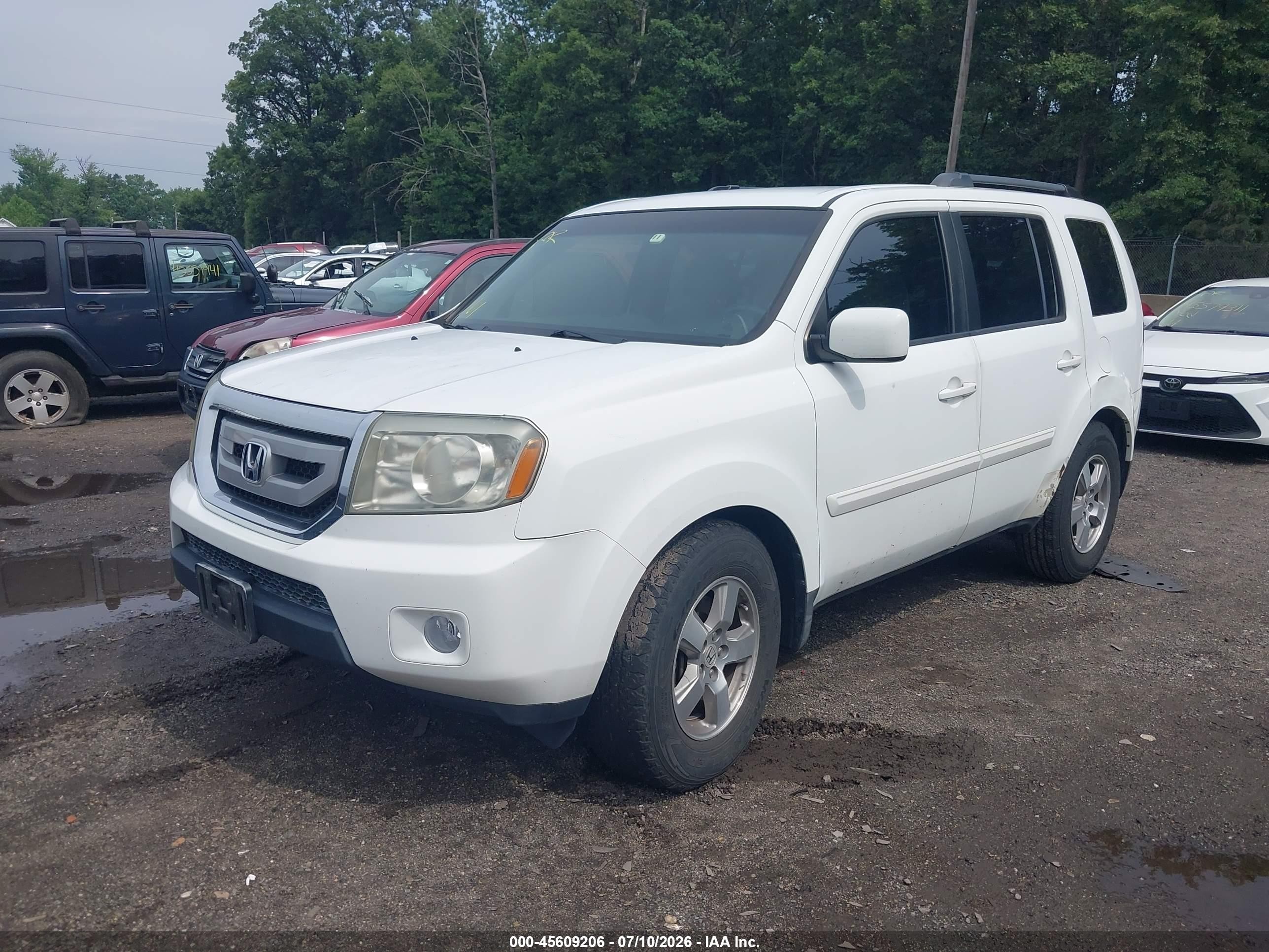 2011 Honda Pilot Ex White vin: 5FNYF3H49BB033707