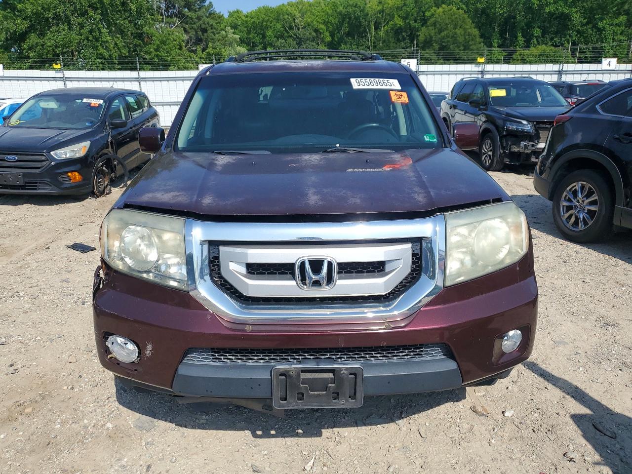 2011 Honda Pilot Exl Фиолетовый vin: 5FNYF3H60BB027702