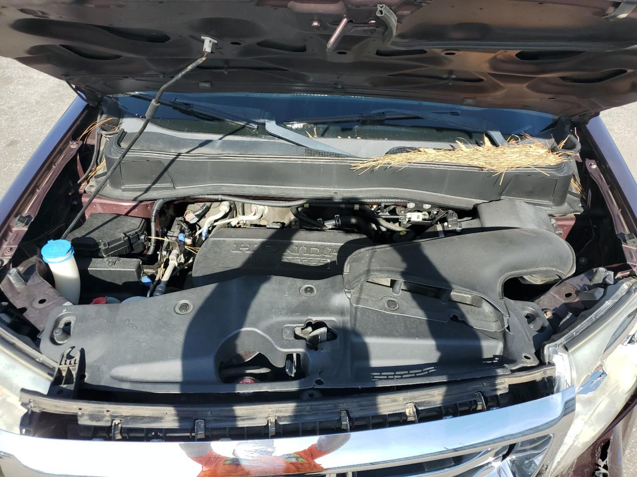 2014 Honda Pilot Exln Burgundy vin: 5FNYF3H71EB017029