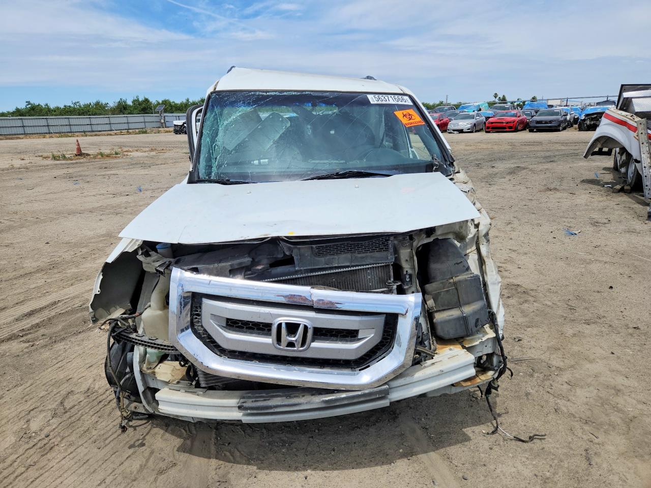 2009 Honda Pilot Ex White vin: 5FNYF48479B038856