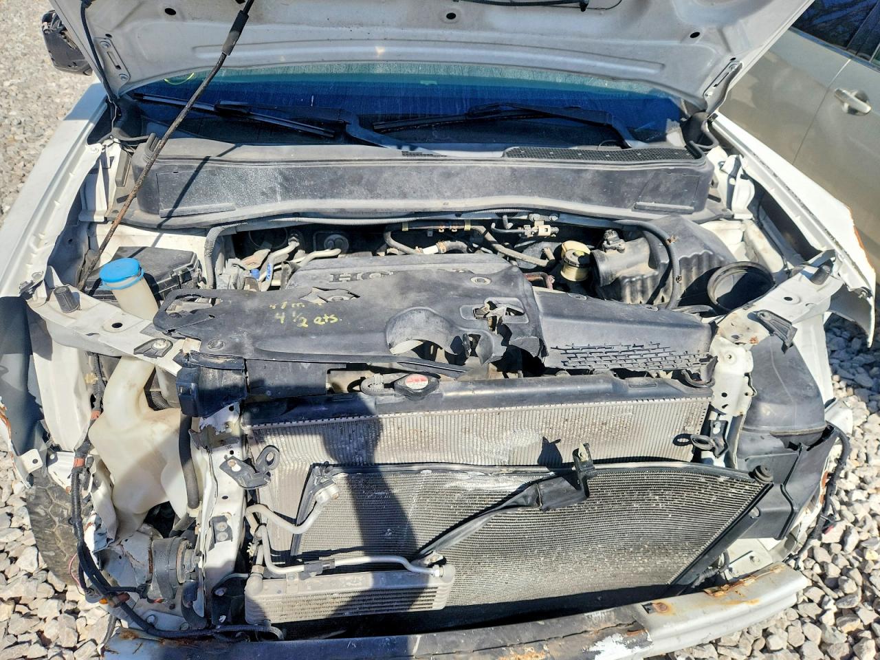 2009 Honda Pilot Белый vin: 5FNYF48519B043754