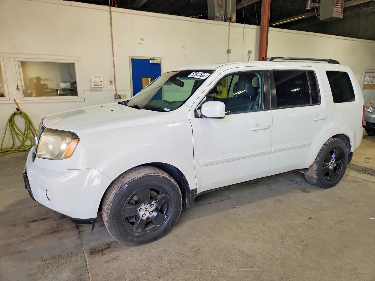 2009 Honda Pilot Exl White vin: 5FNYF48639B039357
