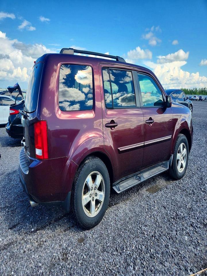 2009 Honda Pilot Exl Burgundy vin: 5FNYF48669B016512