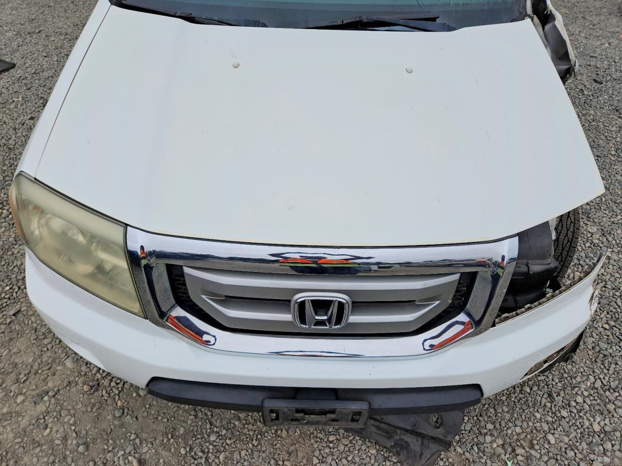 2009 Honda Pilot Exl Белый vin: 5FNYF48699B052419