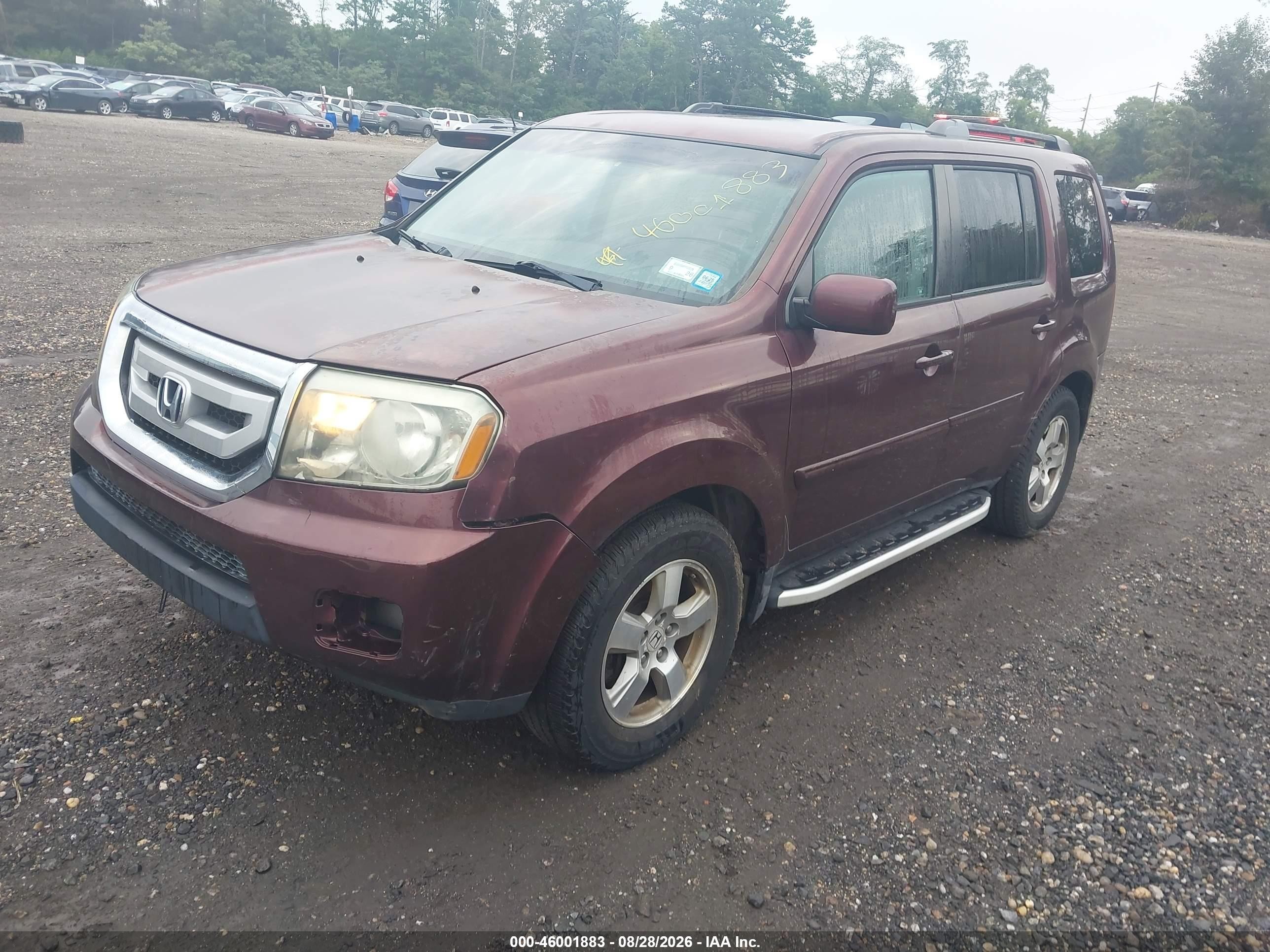 2011 Honda Pilot Ex Purple vin: 5FNYF4H46BB040412