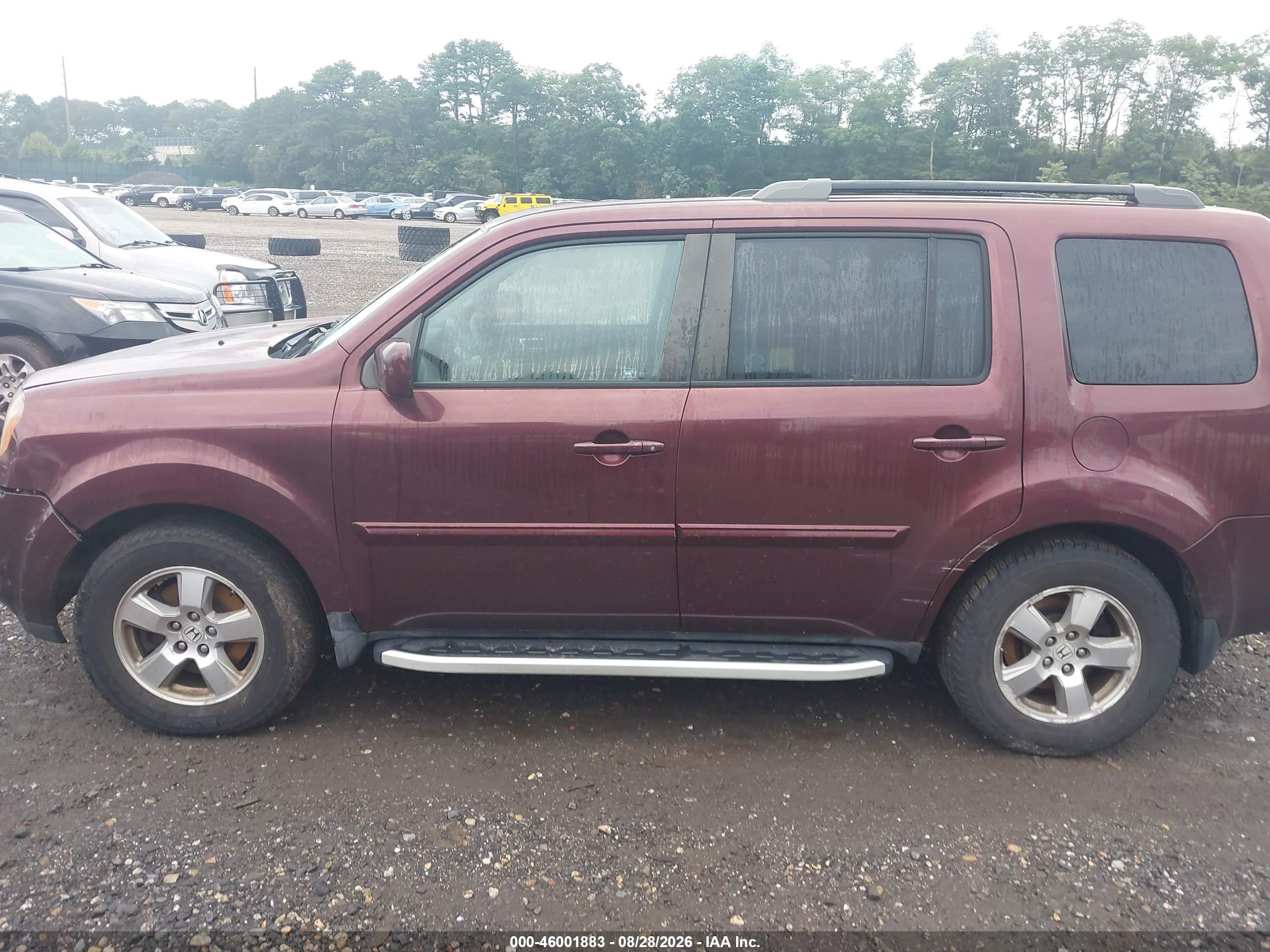 2011 Honda Pilot Ex Purple vin: 5FNYF4H46BB040412