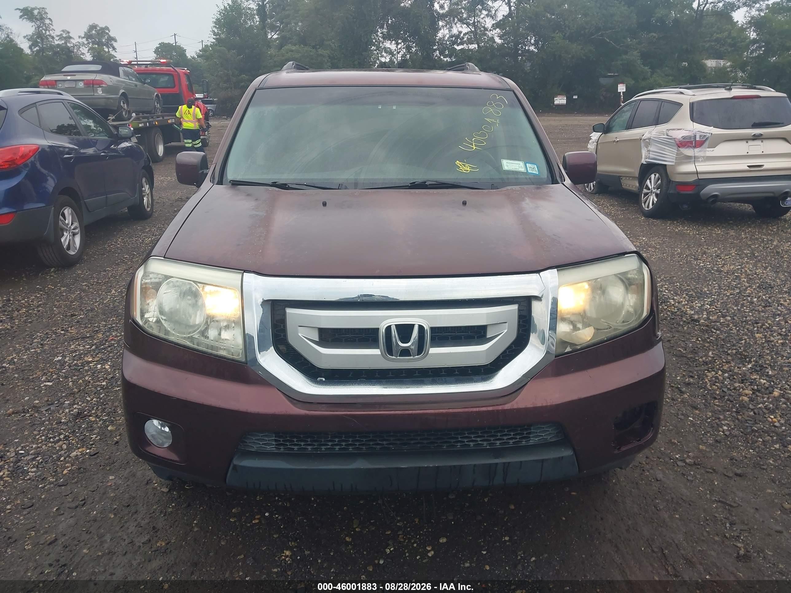 2011 Honda Pilot Ex Purple vin: 5FNYF4H46BB040412
