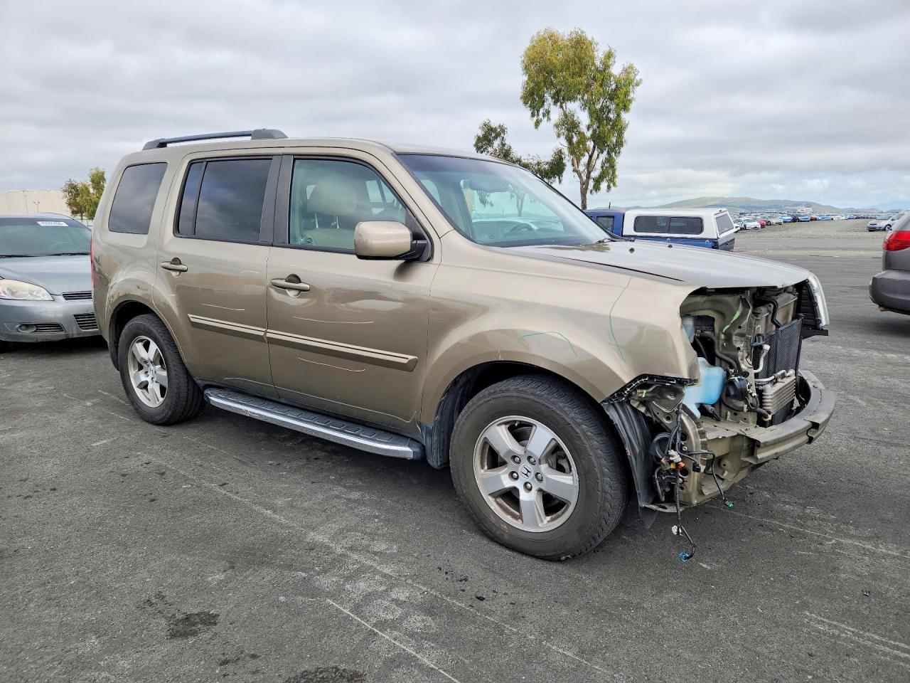 2011 Honda Pilot Ex Gold vin: 5FNYF4H49BB105592