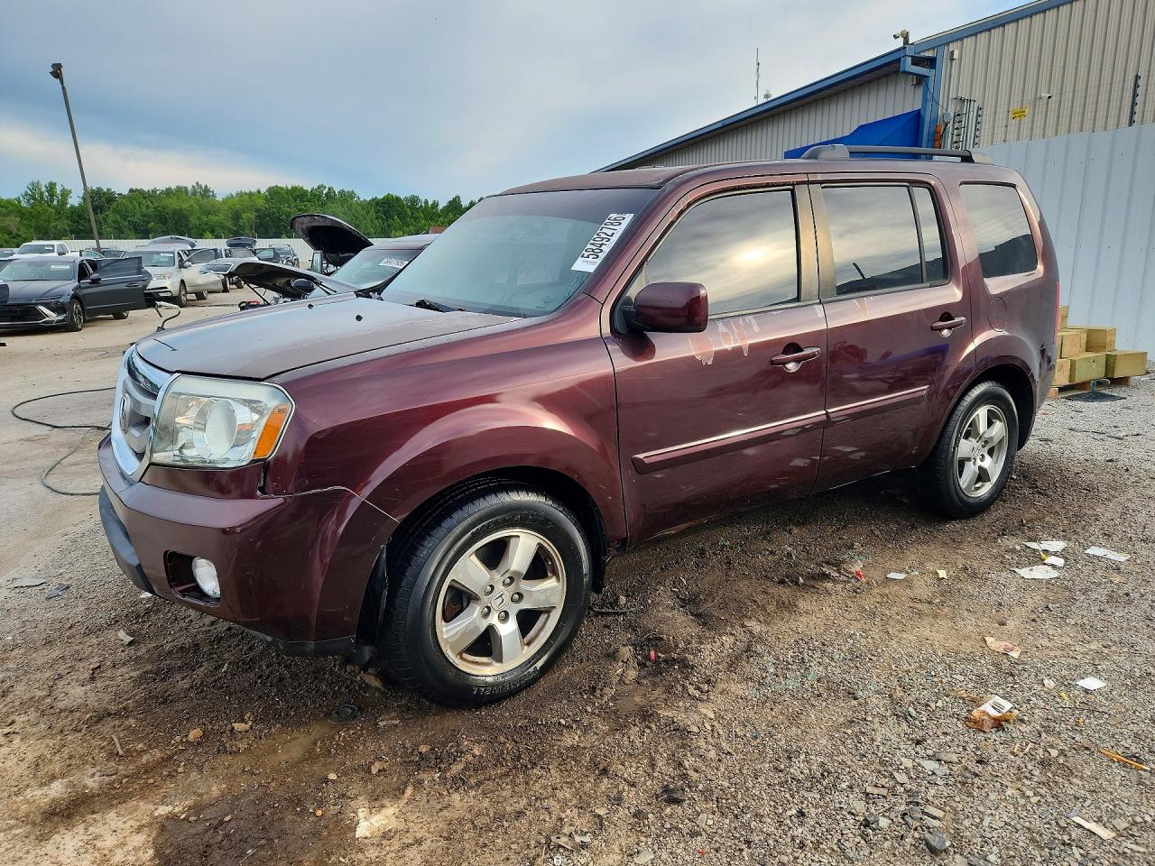 2010 Honda Pilot Exl Бордовый vin: 5FNYF4H54AB001261